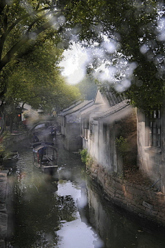 秋雨落桐采集到国画