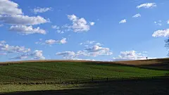 那张Windows XP默认壁纸，直到今天都还有新故事发生