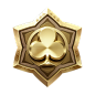 VIP5