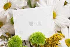 鲜花中的空白卡片