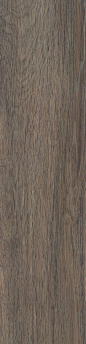 campani legni vintage grey wood porcelain tile - wood grain floor time for masculine guest bath: 