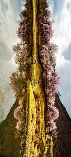 再过一个月，全世界最美桃花即将绽放！ - 天山户外--5A假期--5A景区 - 深圳天山户外活动网是深圳最专业的户外活动交流平台,官方QQ群号:134162927,多名专业领队长期组织深圳及周边地区的户外旅游活动,深圳驴友登山,西冲露营,东西冲穿越,桔钓沙,七星湾,红排角,黑排角,爬山,七娘山,白云嶂,溯溪,水底河,桂林阳朔,英西峰林,厦门鼓浪屿,徒步穿越,自驾游,承接公司或单位包团户外旅游,公司拓展,公司团建