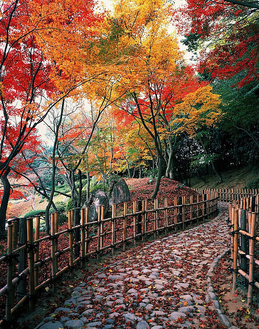 [栗林公园] 日本高松栗林公园 的秋色