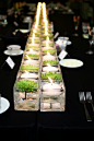 a runner of small square vases in the middle of the table with floating candles and floating green succulents...: 
