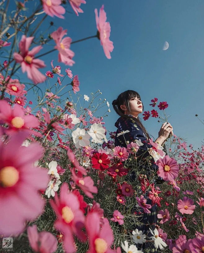 审美提升4/1000｜花中人像的前景构图 - 小红书-花瓣网