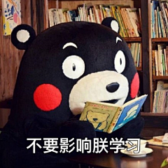 凉风子采集到霓虹·KUMAMON