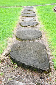 自然,垂直画幅,草地,景观设计,蓝色,夏天,户外,草,方向,陆地