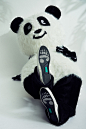 CLOT x CONVERSE 推出全新「Panda Pack」联名系列