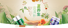 骏铭Sir采集到人参