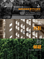 景观概念I 林间学府邂逅元社区-042
