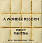 ⬛️A WONDER REBORN|秋冬订货会