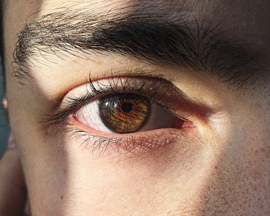 tumblr
眼睛，虹膜，欧美男性