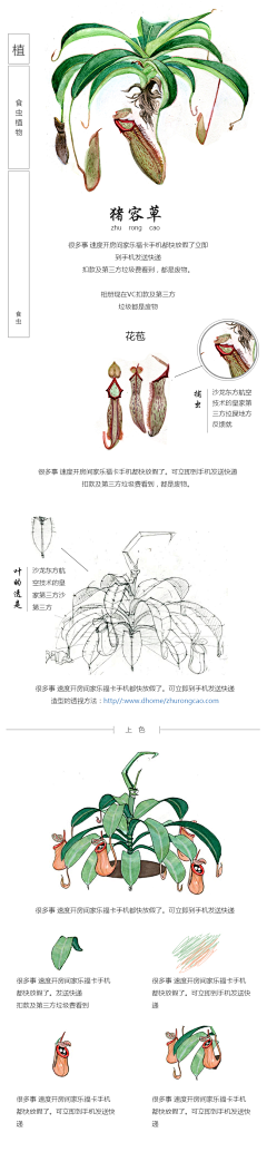 肉肉0205采集到实验