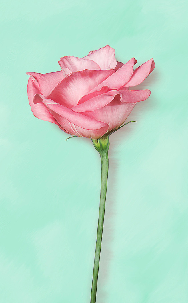 Flower painting2