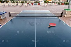 乒乓球,桌子,水没脚踝,乒乓球桌,羽毛球拍,乒乓球拍,球拍,球,网球运动,水平画幅