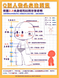 2.5头身Q版结构比例教程（正面、侧面、3/4）