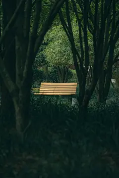 停止焦绿吧。 #我的摄影日记 #树 #绿色 #扫街 #绿 - 抖音