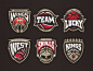 Basketball team sport logo set