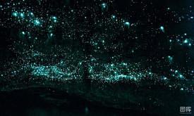新西兰北岛的怀托摩萤火虫洞