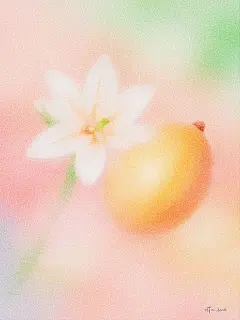 咒语分享弥散风花花肌理海报_2_不愿透露姓名的梁生_来自小红书网页版