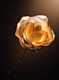 Dior-Prestige-Le-Nectar-Premier-Ingredient-3-scaled