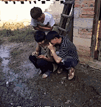 ql464831764采集到GIF