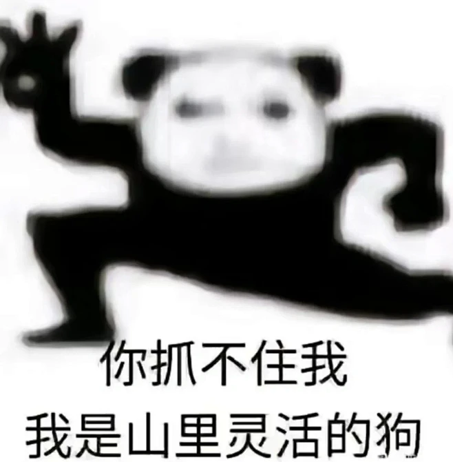 龙图①