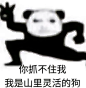 龙图①