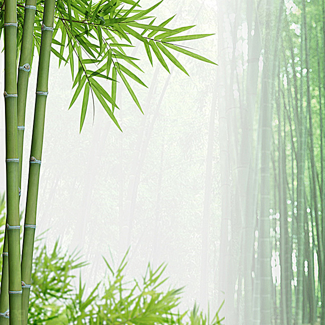 绿色竹林油漆竹炭PSD分层主图背景素材