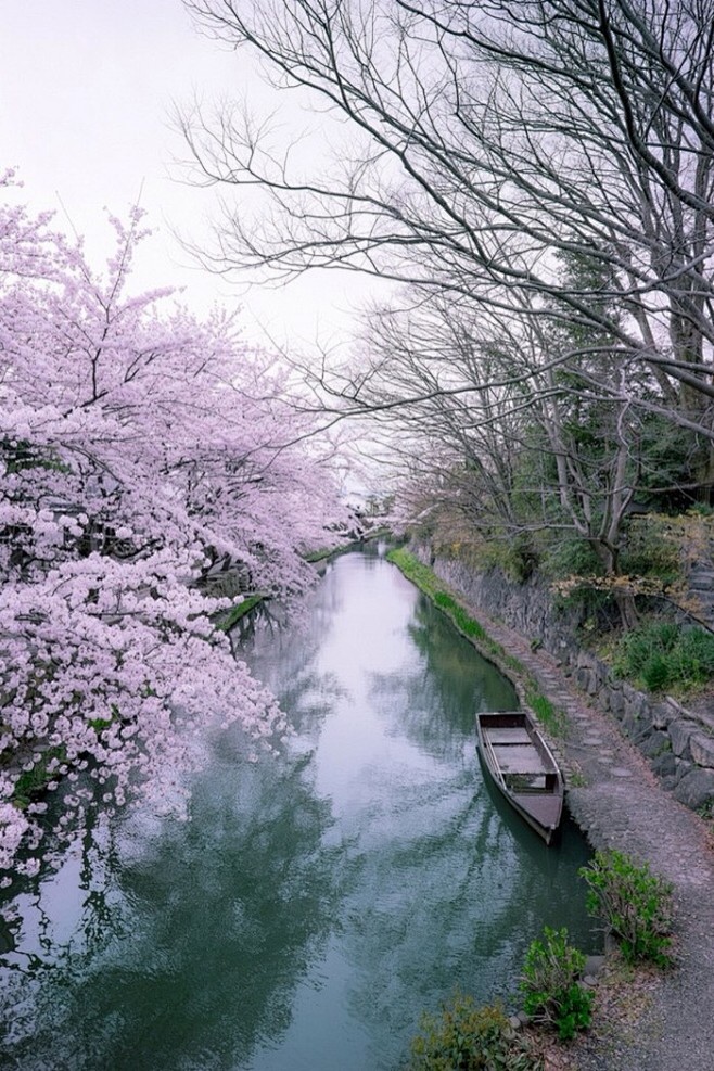 此情此景.繁花