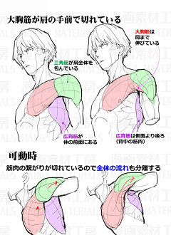 しゃれ采集到下肢