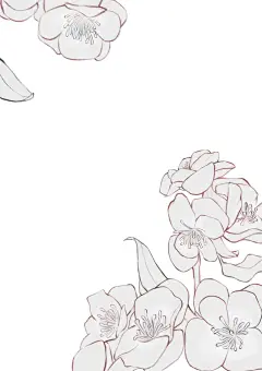 摸鱼补张作业吧｜少女头像线稿｜带步骤 - 小红书