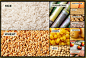 5 Opportunities for Innovation in the Plant-Based Food Market