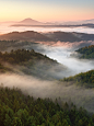 山林 烟雾 树木 森林背景