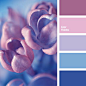 Azure dark blue and dark blue are in harmony with pink and violet. This palette is perfect for decoration of bedroom. These colours will calm and they’ll h.