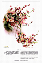 © 【中国云南百花图】 - 曾孝濂