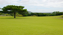 Manzana采集到学校