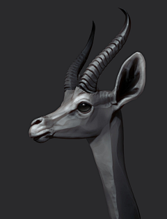星鲸hq采集到厚涂