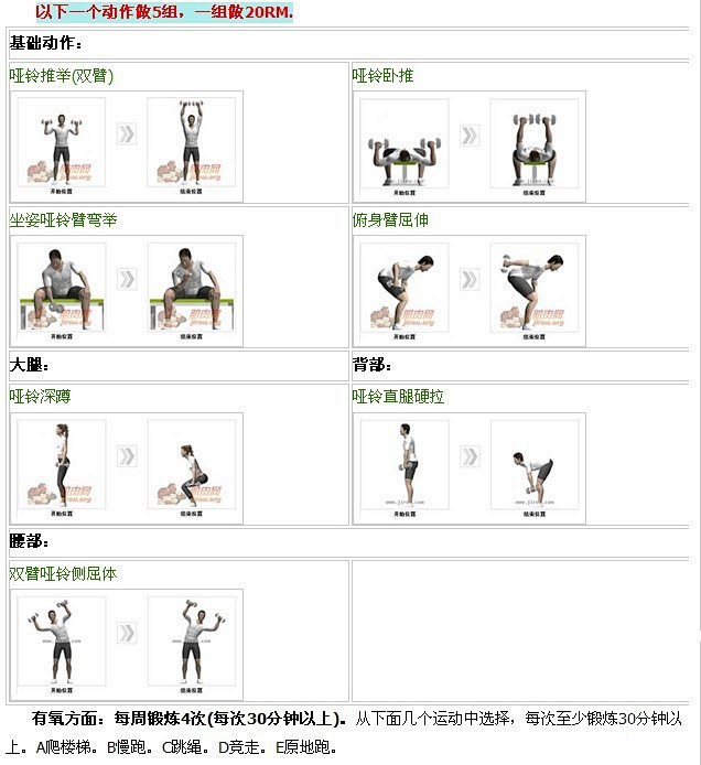 （ 全套哑铃健身计划系列，适合各种人群的...