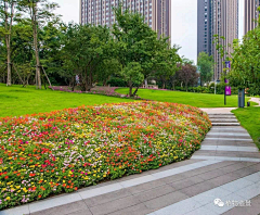 文文一一采集到街边游园