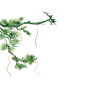 古风中国风古典水墨松树松枝迎客松透明免抠PNG图案 PS设计素材 (169)