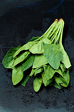清梦一忆采集到蔬菜