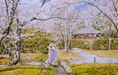 [kris带你云游花海】春来夏往，秋收冬藏，请收好这份四季“花海报表”,中国旅游攻略 - 马蜂窝