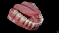 Teeth model - anatomical approach, Daniel Bauer : Set of teeth with major dental shapes and structures. Texturing is fully procedural,except the veins. I had a lot of fun in Marmoset TB to match dentin and flesh. Download a free decimated Model + Toolbag 