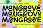 "Mangrove Font Duo", a Sans Serif Font by Sam Parrett