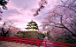 Springtime at Hirosaki Castle in Japan - Imgur