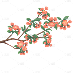 用户uR88H8B2采集到ppt素材