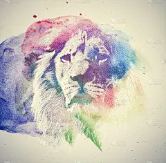 狮子,艺术,水彩画颜料,抽象,多色的,狮子座,动物头,画布,水彩颜料,动物
