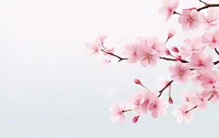 桃花唯美花朵花卉壁纸素材