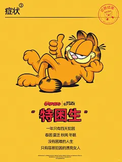 哦莫！今天正式被确诊为加菲猫 - 小红书